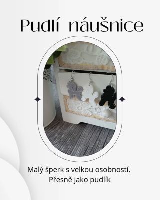 NOVINKA: Pudlí náušnice 🐩 S láskou k pudlům💓. Pro všechny milovníky těchto chytrých a okouzlujících společníků 🐩♥️. #pudl...