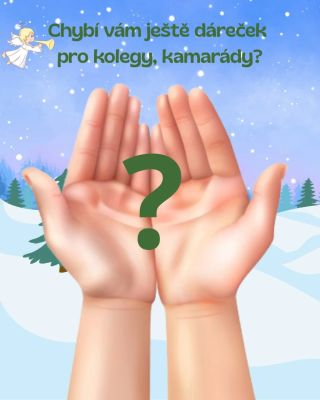 ⏰ POSLEDNÍ 2 DNY! Dnes a zítra můžete ještě objednat s garancí doručení do Vánoc! 🎄🎅 www.3dkramek.cz